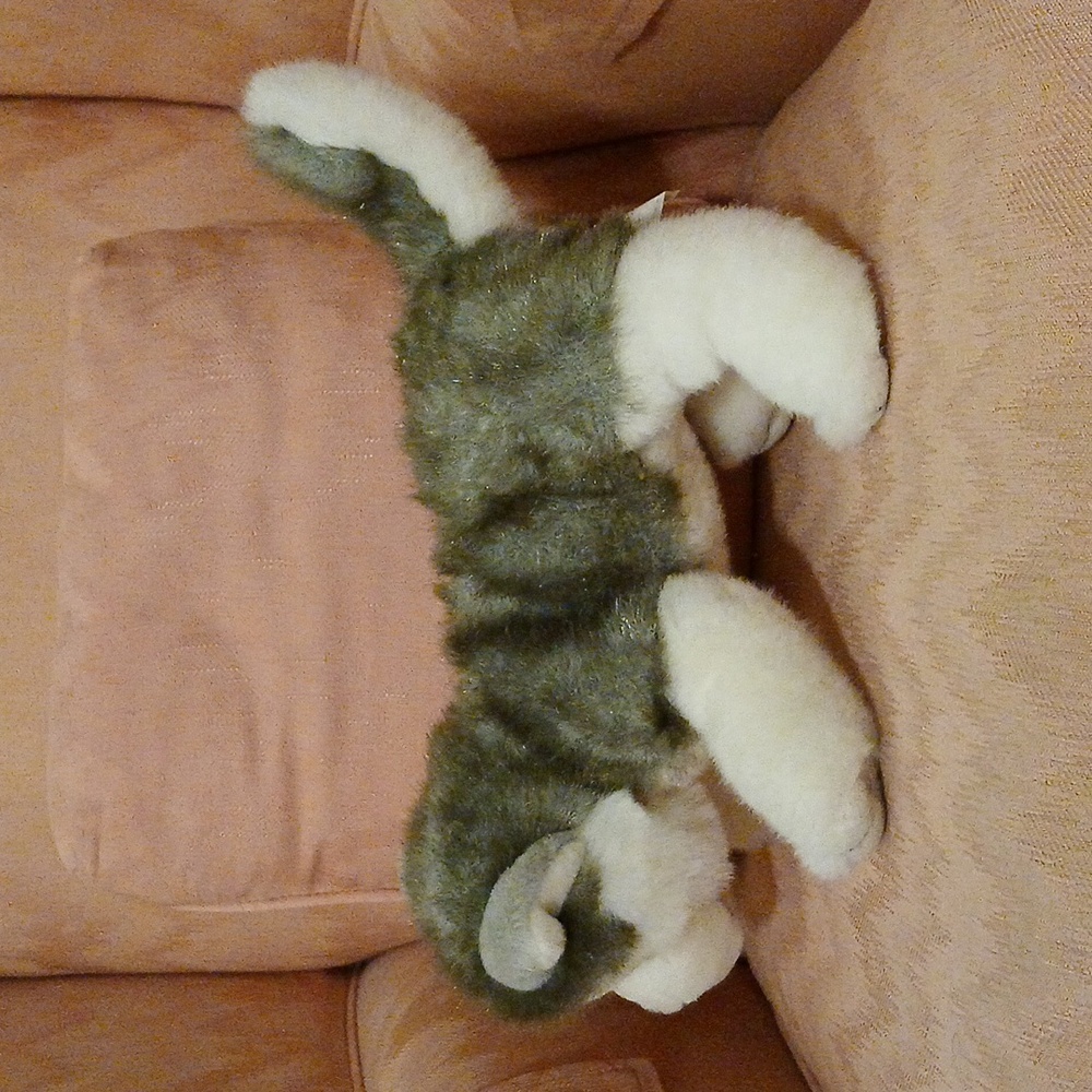 Build-A-Bear Husky - Picture 4 of 8